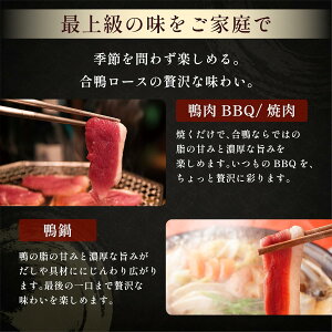 【 合鴨専門店 国産ブランド】 鴨肉 国産 ロース 手羽元 食べ比べ セット 福鴨 鴨鍋 450g~500g 3~4人前 冷凍 大阪府 松原市